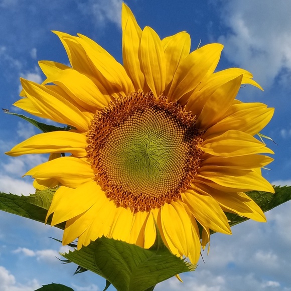 Meet your Posh Ambassador, Karen! - Picture 1 of 2